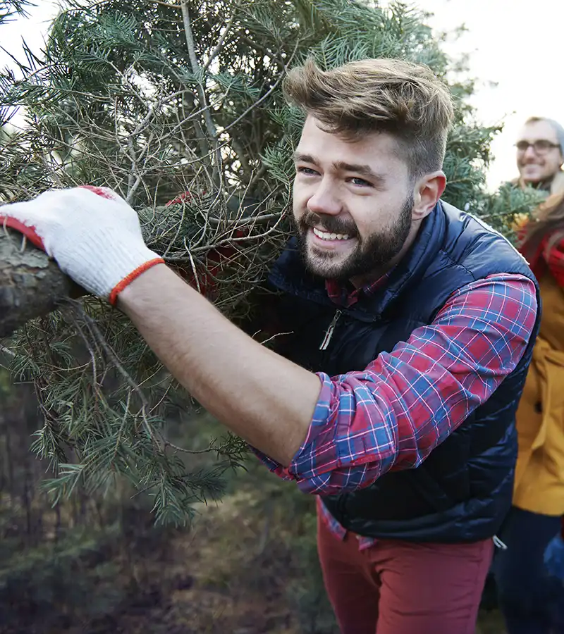 Boscaiolo che taglia un albero di Natale Boscaiolo che taglia un albero di Natale