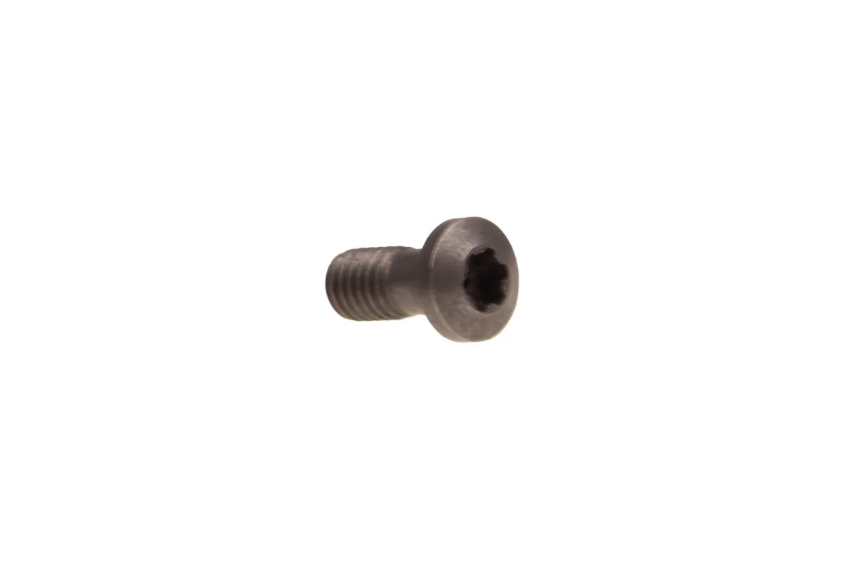 Vis Torx pour articles DWS 7044 33 | Système de tournage interchangeable DWS | Stubai